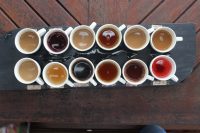family bali tours - coffee plantation
